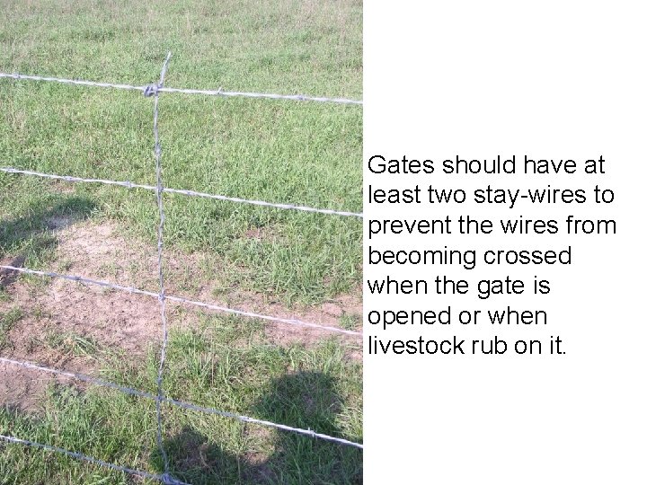 Gates should have at least two stay-wires to prevent the wires from becoming crossed