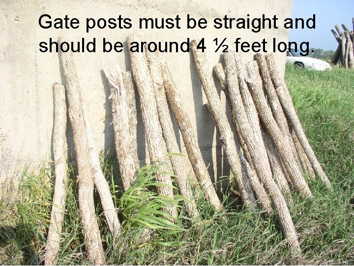 Gate posts must be straight and should be around 4 ½ feet long. 