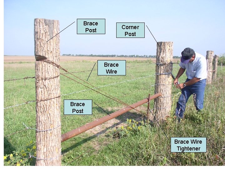 Brace Post Corner Post Brace Wire Brace Post Brace Wire Tightener 