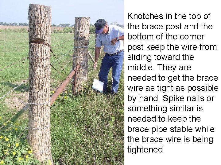 Knotches in the top of the brace post and the bottom of the corner