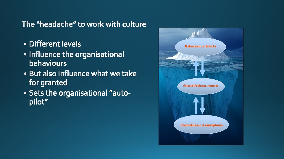 Behaviour, artefacts Shared Values, Norms Shared Basic Assumptions 