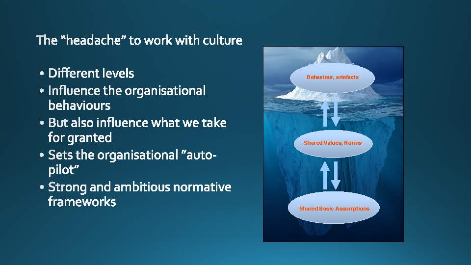 Behaviour, artefacts Shared Values, Norms Shared Basic Assumptions 