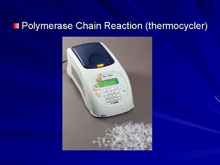 Polymerase Chain Reaction (thermocycler) 