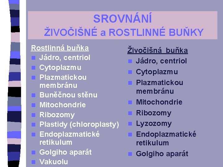 SROVNÁNÍ ŽIVOČIŠNÉ a ROSTLINNÉ BUŇKY Rostlinná buňka n Jádro, centriol n Cytoplazmu n Plazmatickou