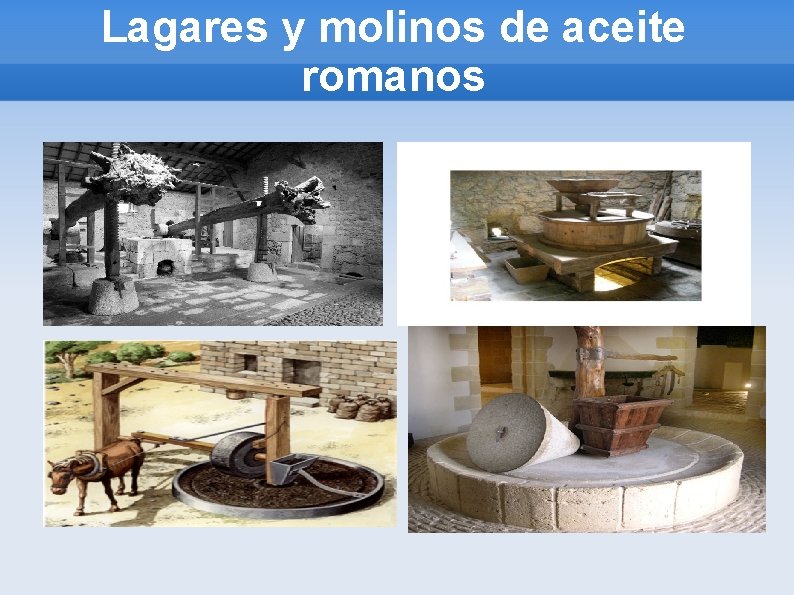 Lagares y molinos de aceite romanos 