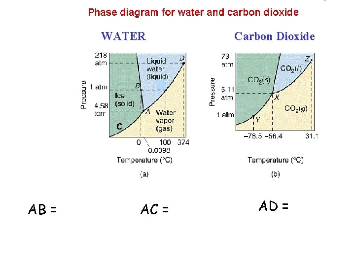 WATER Carbon Dioxide C AB = AC = AD = 