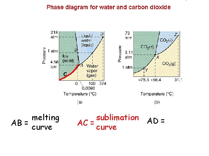 C melting AB = curve sublimation AD = AC = curve 