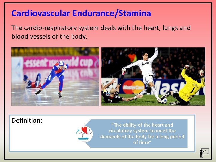 Cardiovascular Endurance/Stamina The cardio-respiratory system deals with the heart, lungs and blood vessels of