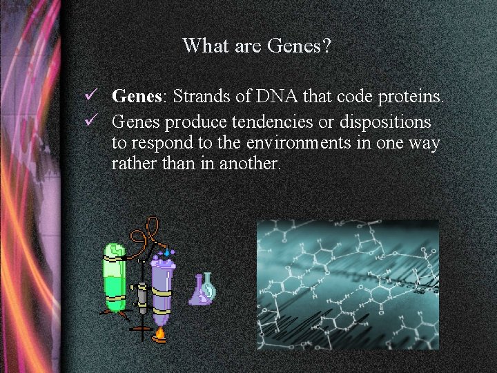 What are Genes? ü Genes: Strands of DNA that code proteins. ü Genes produce