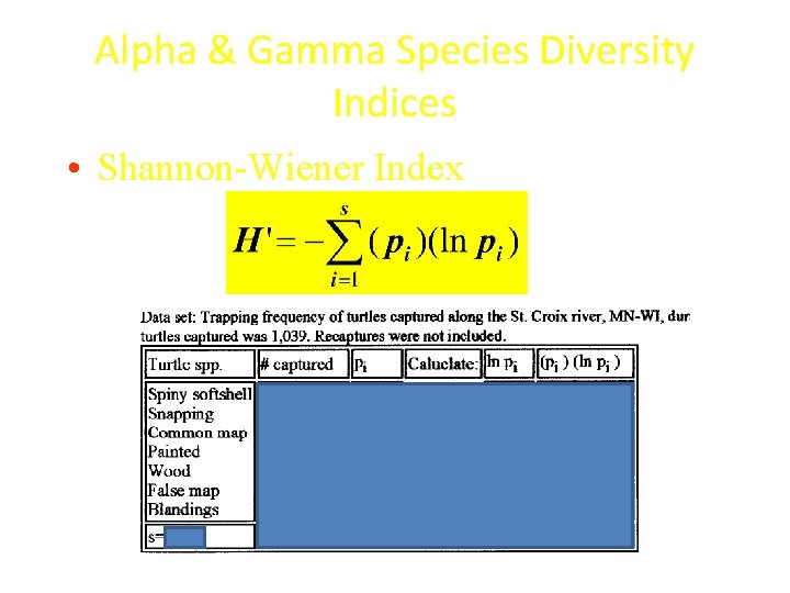 Alpha & Gamma Species Diversity Indices • Shannon-Wiener Index 