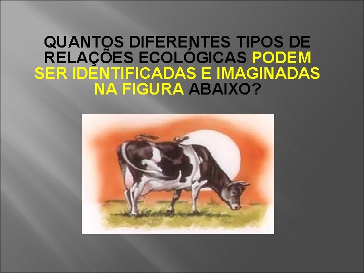 QUANTOS DIFERENTES TIPOS DE RELAÇÕES ECOLÓGICAS PODEM SER IDENTIFICADAS E IMAGINADAS NA FIGURA ABAIXO?