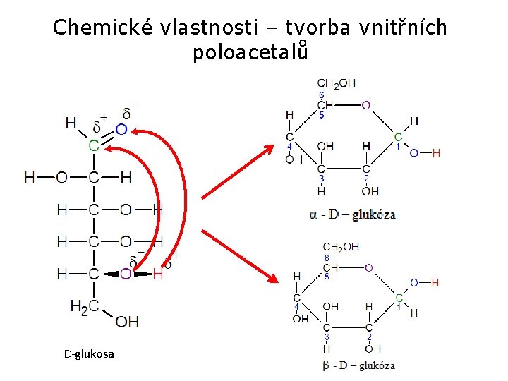 Chemické vlastnosti – tvorba vnitřních poloacetalů D-glukosa 