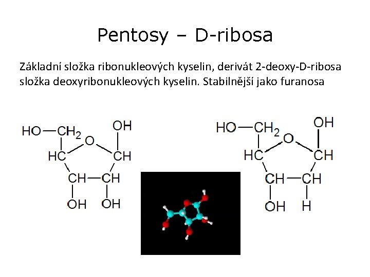 Pentosy – D-ribosa Základní složka ribonukleových kyselin, derivát 2 -deoxy-D-ribosa složka deoxyribonukleových kyselin. Stabilnější