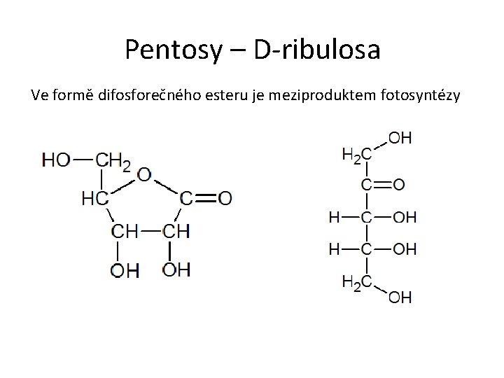 Pentosy – D-ribulosa Ve formě difosforečného esteru je meziproduktem fotosyntézy 