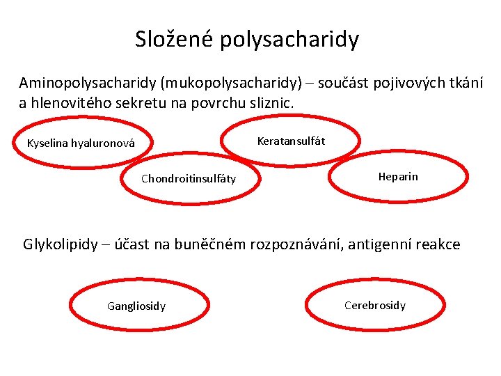 Složené polysacharidy Aminopolysacharidy (mukopolysacharidy) – součást pojivových tkání a hlenovitého sekretu na povrchu sliznic.