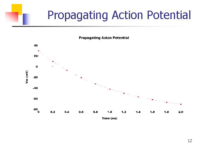 Propagating Action Potential 12 