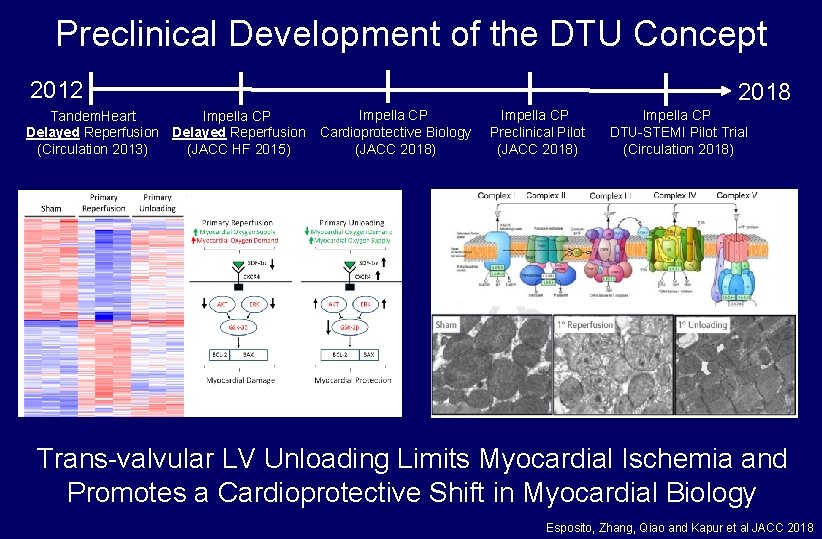 Preclinical Development of the DTU Concept 2012 Tandem. Heart Impella CP Delayed Reperfusion (Circulation