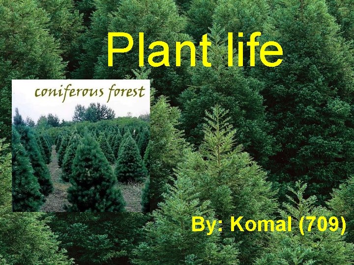 Plant life By: Komal (709) 