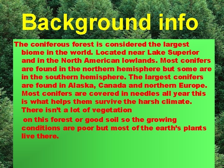 Background info The coniferous forest is considered the largest biome in the world. Located