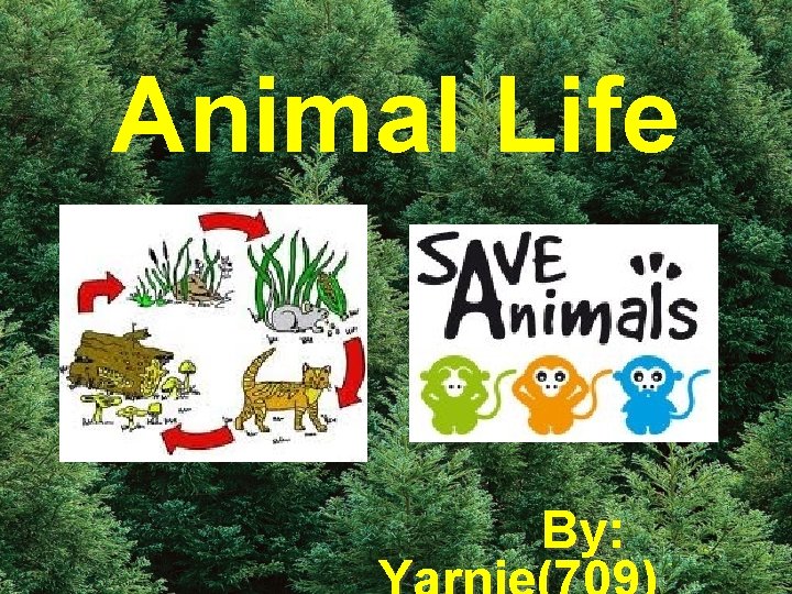 Animal Life By: 