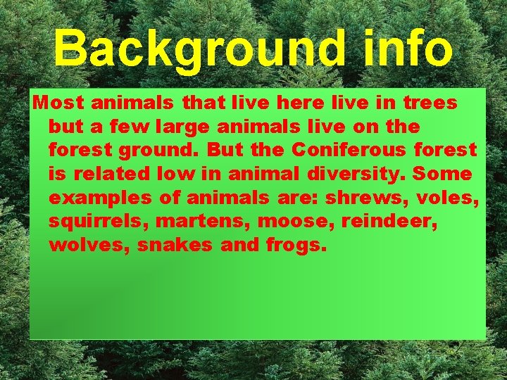 Background info Most animals that live here live in trees but a few large