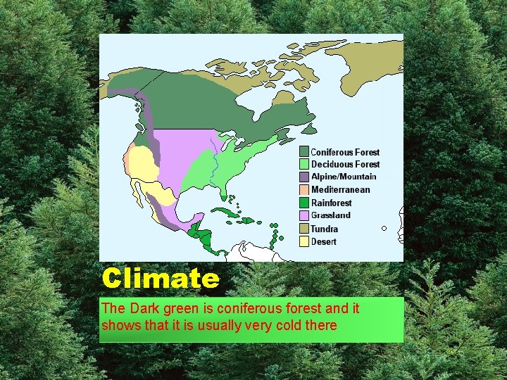 Climate The Dark green is coniferous forest and it shows that it is usually