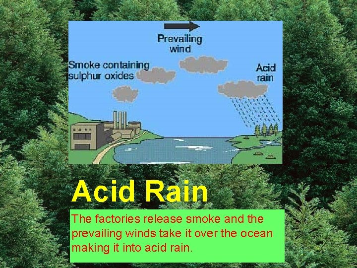 Acid Rain The factories release smoke and the prevailing winds take it over the