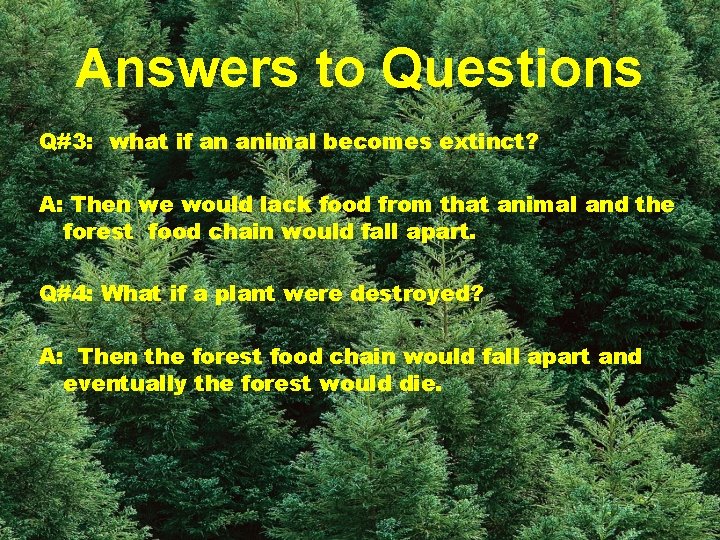 Answers to Questions Q#3: what if an animal becomes extinct? A: Then we would