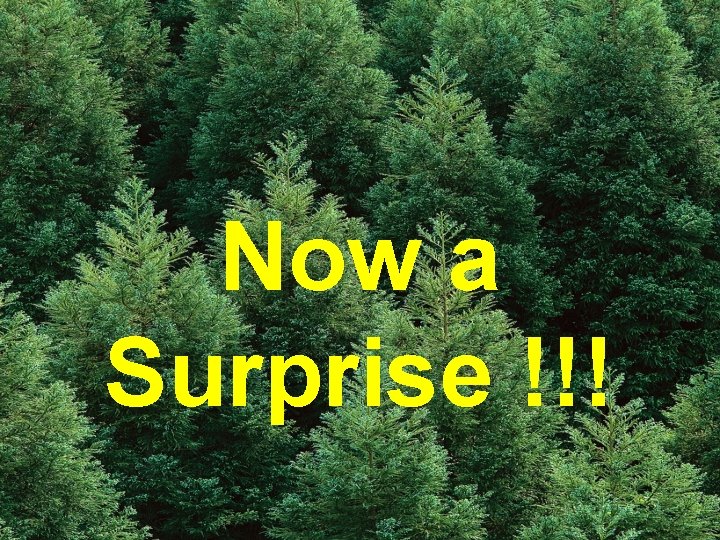 Now a Surprise !!! 