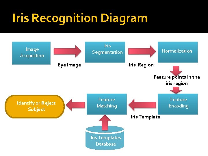 Iris Recognition Diagram Iris Segmentation Image Acquisition Eye Image Normalization Iris Region Feature points