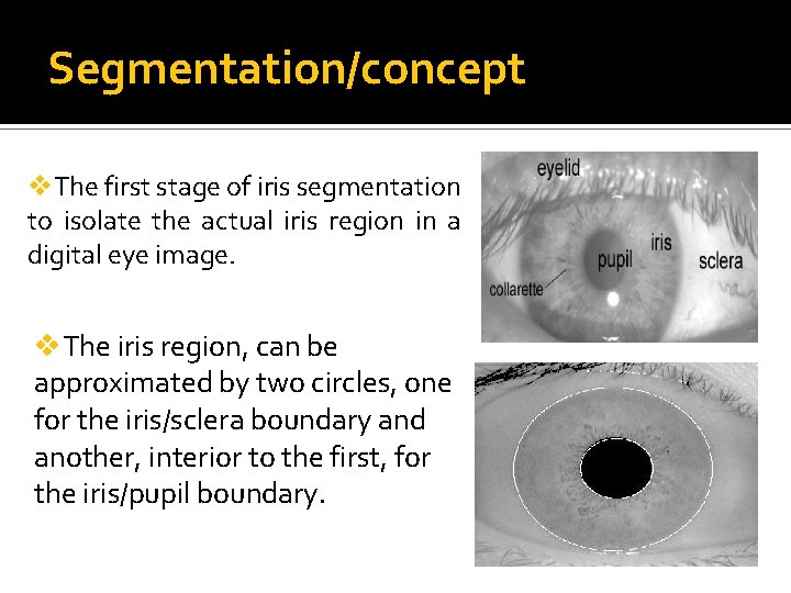 Segmentation/concept v. The first stage of iris segmentation to isolate the actual iris region