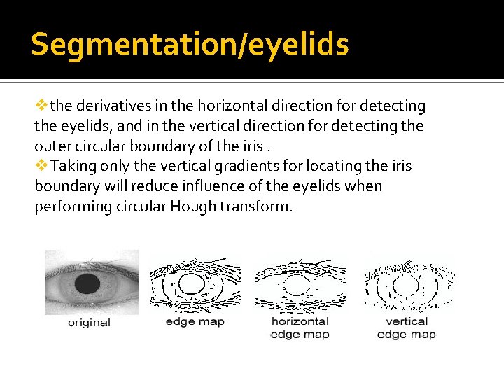 Segmentation/eyelids vthe derivatives in the horizontal direction for detecting the eyelids, and in the