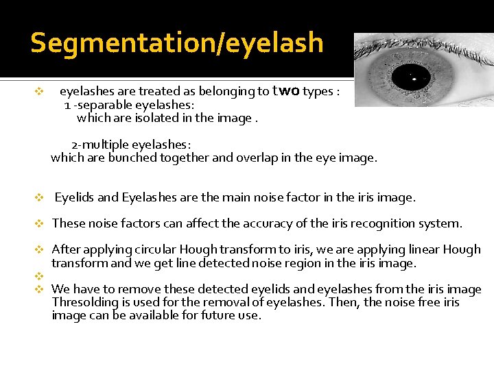 Segmentation/eyelash eyelashes are treated as belonging to two types : 1 -separable eyelashes: which