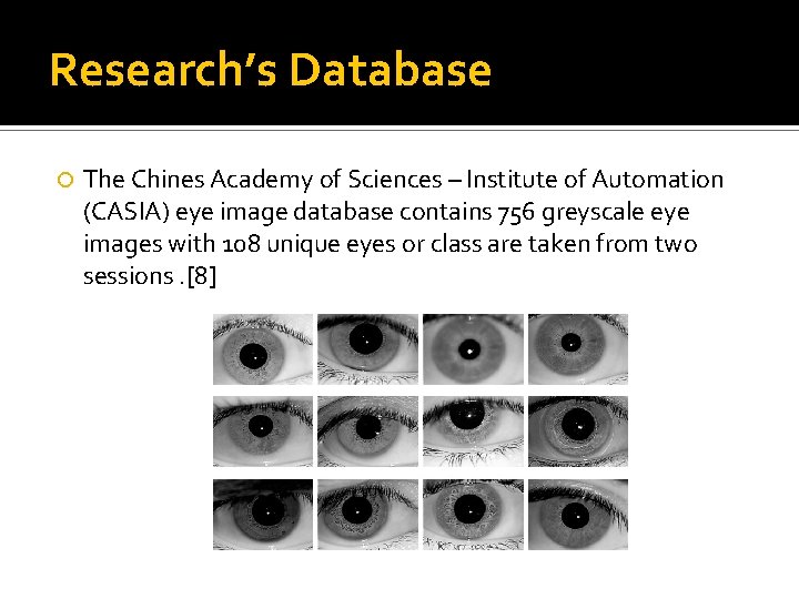 Research’s Database The Chines Academy of Sciences – Institute of Automation (CASIA) eye image