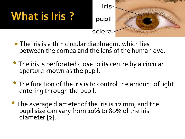 What is Iris ? The iris is a thin circular diaphragm, which lies between