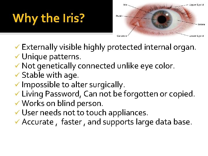 Why the Iris? ü Externally visible highly protected internal organ. ü Unique patterns. ü