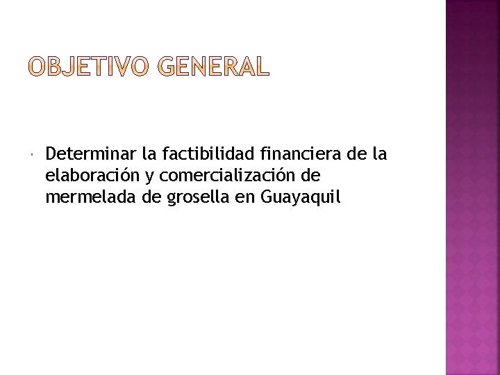  Determinar la factibilidad financiera de la elaboración y comercialización de mermelada de grosella