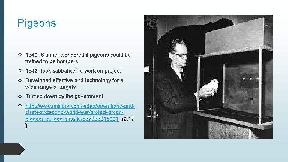 Pigeons 1940 - Skinner wondered if pigeons could be trained to be bombers 1942