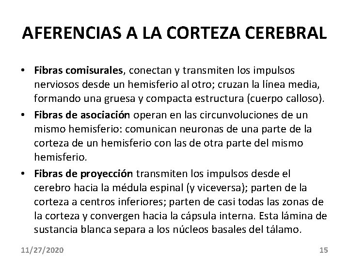 AFERENCIAS A LA CORTEZA CEREBRAL • Fibras comisurales, conectan y transmiten los impulsos nerviosos