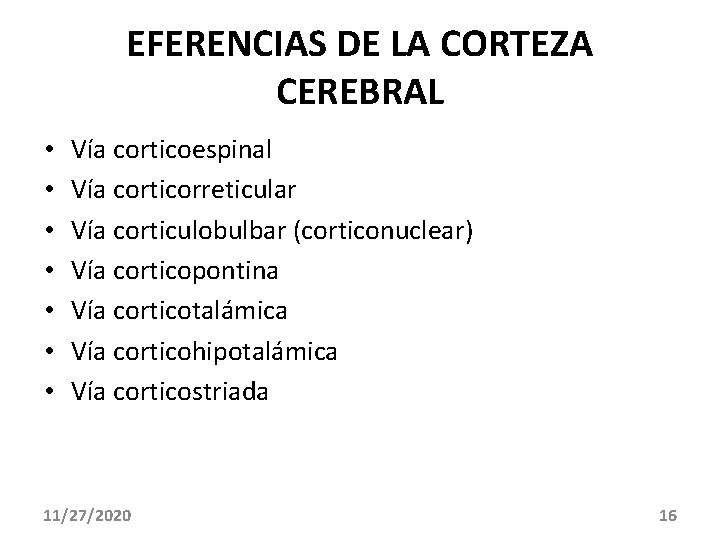 EFERENCIAS DE LA CORTEZA CEREBRAL • • Vía corticoespinal Vía corticorreticular Vía corticulobulbar (corticonuclear)