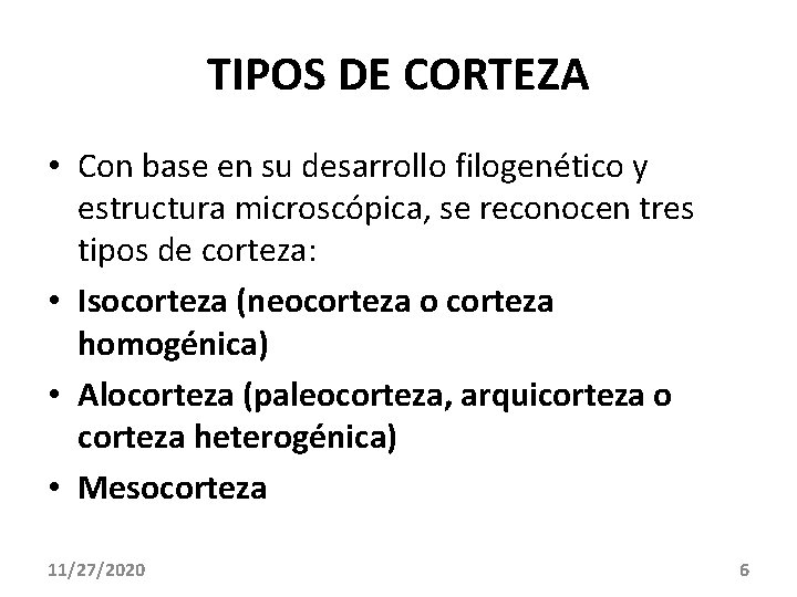 TIPOS DE CORTEZA • Con base en su desarrollo filogenético y estructura microscópica, se