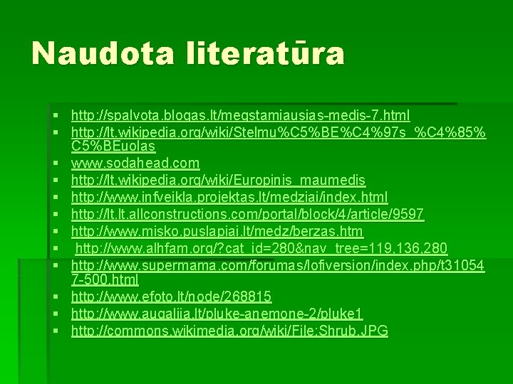 Naudota literatūra § http: //spalvota. blogas. lt/megstamiausias-medis-7. html § http: //lt. wikipedia. org/wiki/Stelmu%C 5%BE%C