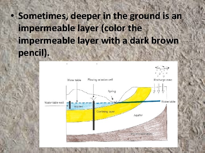  • Sometimes, deeper in the ground is an impermeable layer (color the impermeable