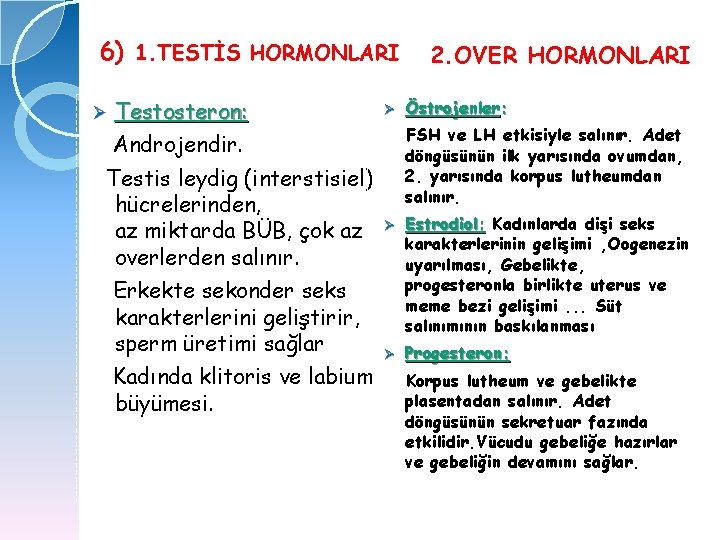 6) 1. TESTİS HORMONLARI Ø Testosteron: Androjendir. Testis leydig (interstisiel) hücrelerinden, az miktarda BÜB,