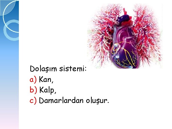 Dolaşım sistemi: a) Kan, b) Kalp, c) Damarlardan oluşur. 