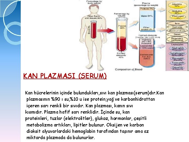 KAN PLAZMASI (SERUM) Kan hücrelerinin içinde bulundukları, sıvı kan plazması(serum)dır. Kan plazmasının %90 ı