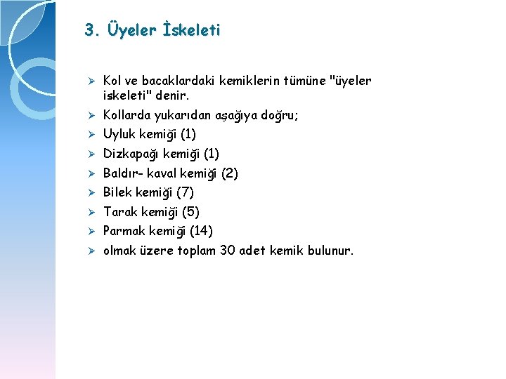 3. Üyeler İskeleti Ø Kol ve bacaklardaki kemiklerin tümüne "üyeler iskeleti" denir. Ø Kollarda