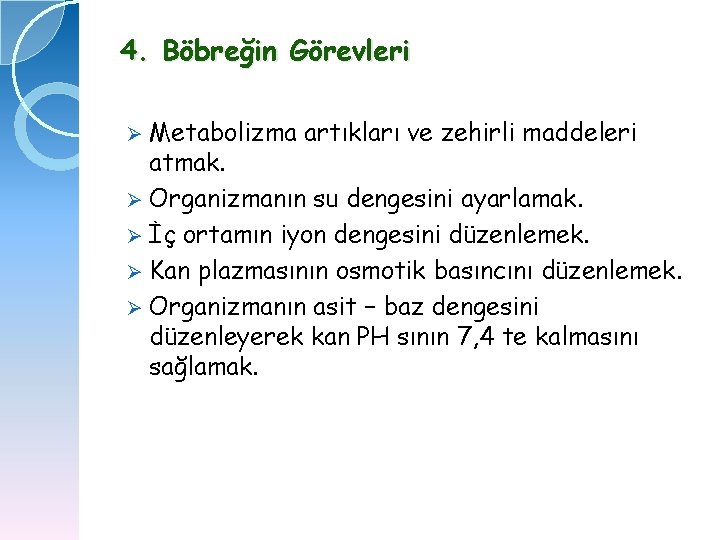 4. Böbreğin Görevleri Ø Metabolizma artıkları ve zehirli maddeleri atmak. Ø Organizmanın su dengesini