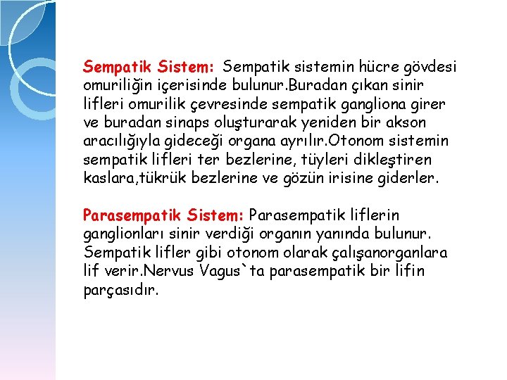 Sempatik Sistem: Sempatik sistemin hücre gövdesi omuriliğin içerisinde bulunur. Buradan çıkan sinir lifleri omurilik