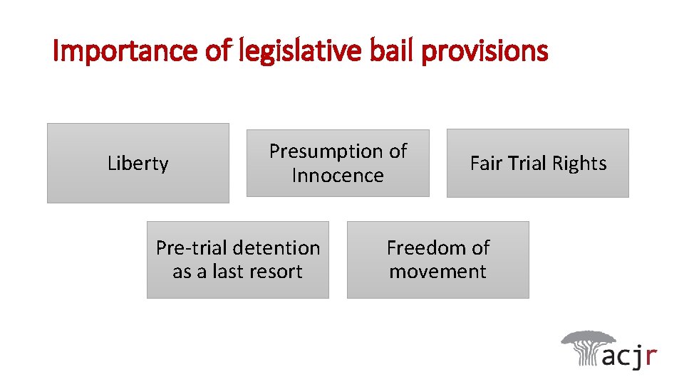 Importance of legislative bail provisions Liberty Presumption of Innocence Pre-trial detention as a last